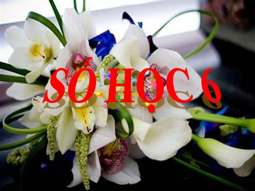 Số 6