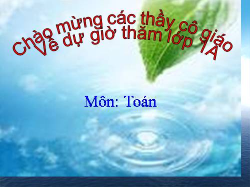 Số 8