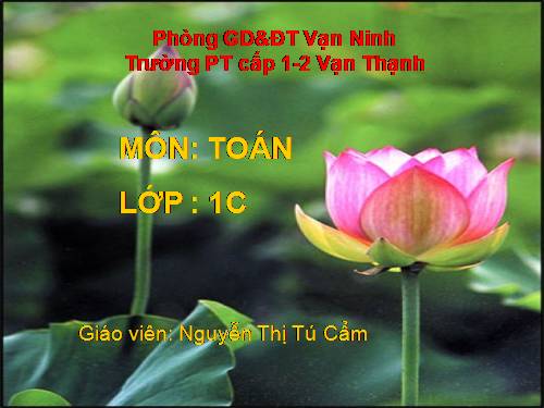 Cộng, trừ (không nhớ) trong phạm vi 100