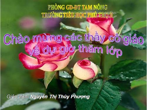 Luyện tập Trang 82