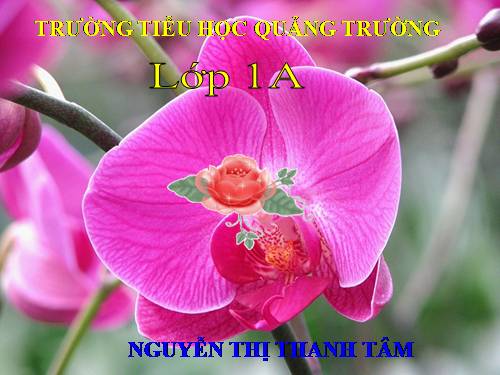 Phép cộng trong phạm vi 7