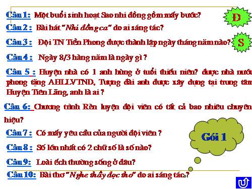 Hội thi tổng phụ trách Sao giỏi