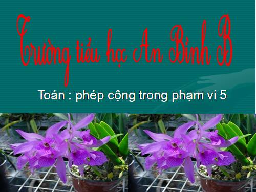 Phép cộng trong phạm vi 5