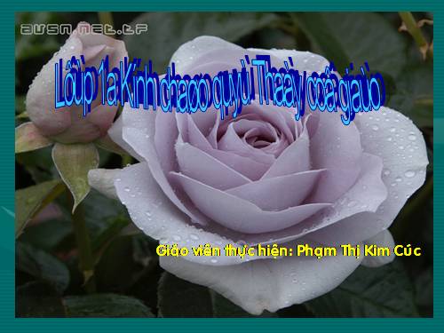 Phép trừ trong phạm vi 7