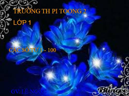 Bảng các số từ 1 đến 100