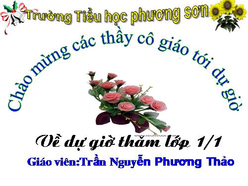 Cộng, trừ (không nhớ) trong phạm vi 100