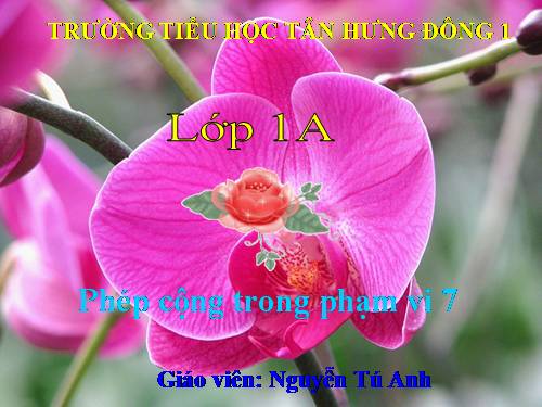 Luyện tập Trang 82