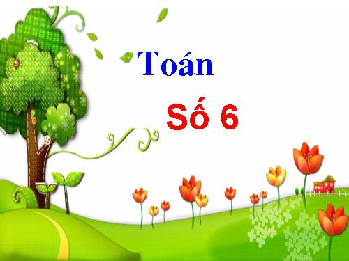 Số 6