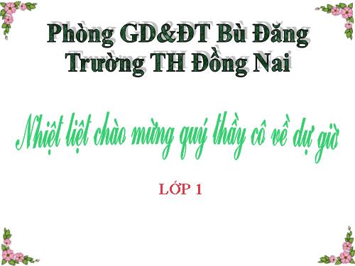 Các ngày trong tuần lễ