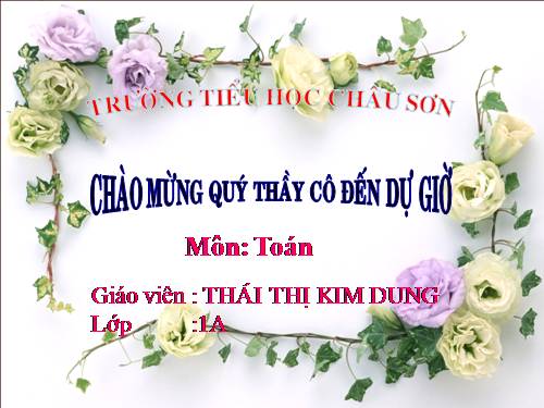 Cộng, trừ (không nhớ) trong phạm vi 100