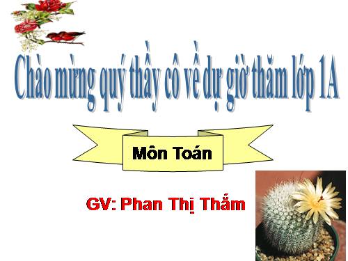 Luyện tập Trang 144