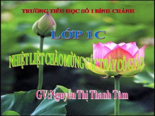 Phép cộng trong phạm vi 100 (cộng không nhớ)