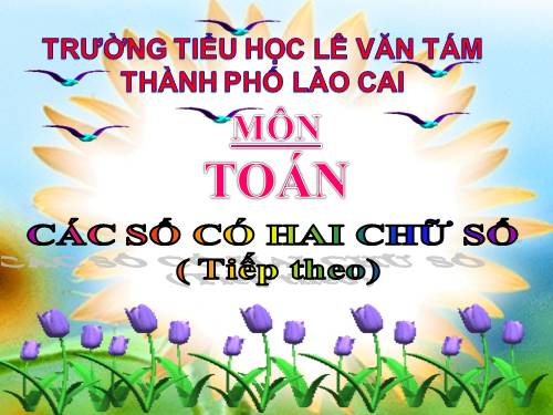 Các số có hai chữ số