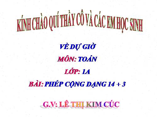 Phép cộng dạng 14+3