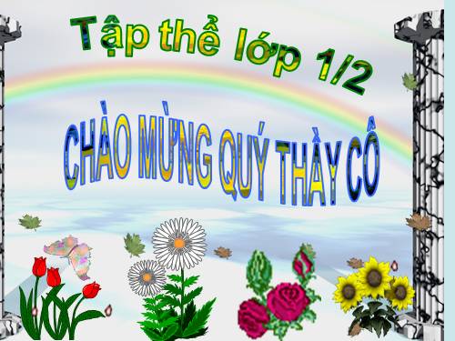 Luyện tập chung Trang 169