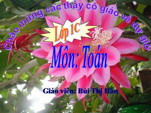 Số 0 trong phép cộng