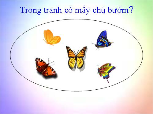 Số 6