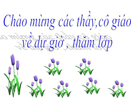 Phép cộng trong phạm vi 5