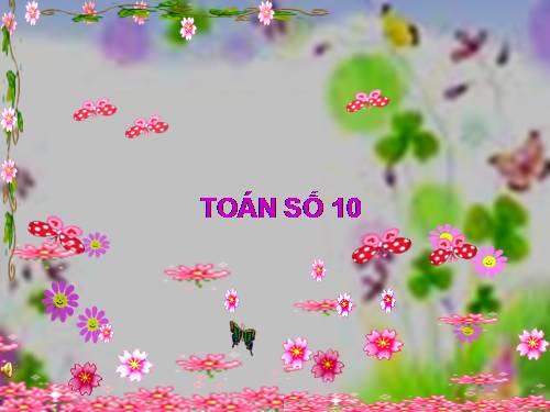 Số 10