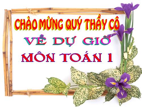 Cộng, trừ (không nhớ) trong phạm vi 100