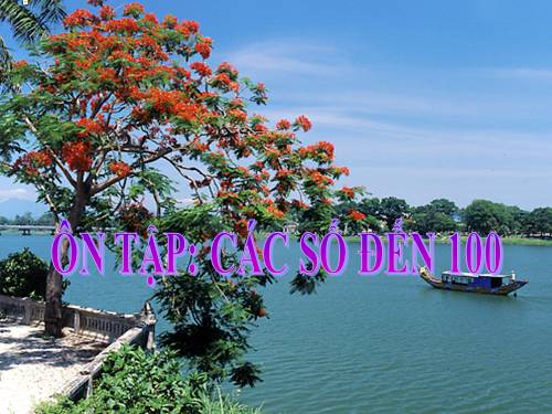 Ôn tập: Các số đến 100