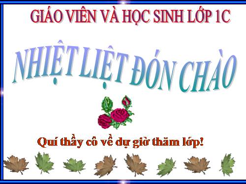 Ôn tập: Các số đến 100