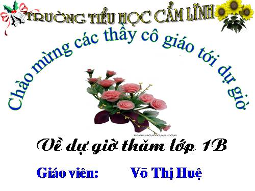 Cộng, trừ (không nhớ) trong phạm vi 100