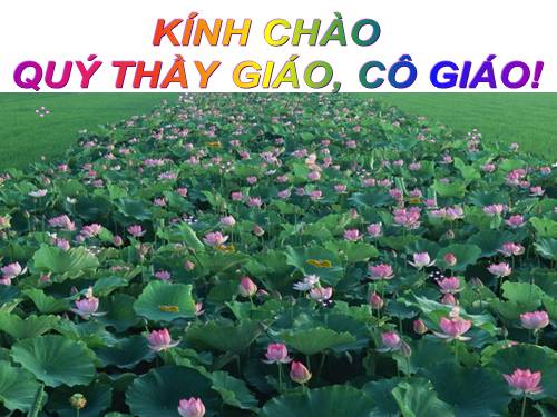 Giáo dục kỹ năng sống