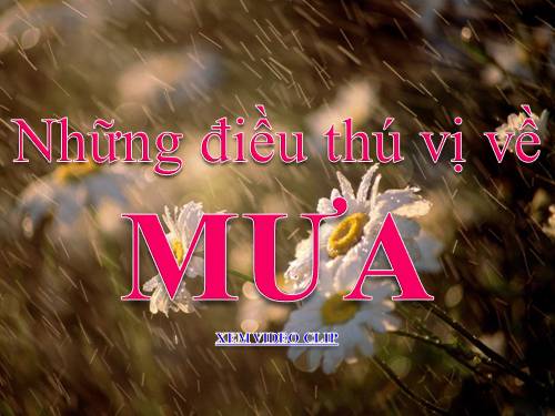 Mưa có từ đâu?