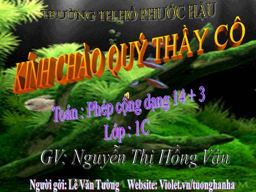 Phép cộng dạng 14+3