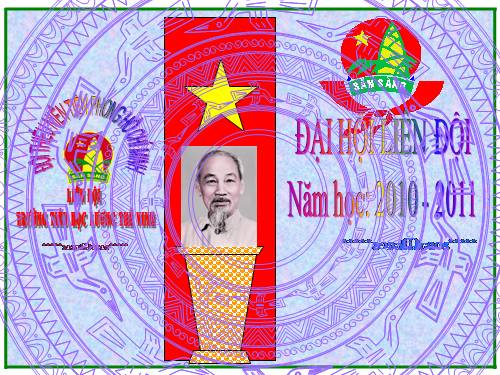 Đại hội liên đội năm hoc 2010-2011