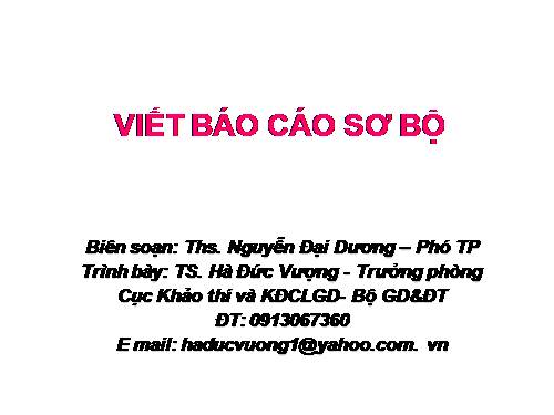 Viet bao cao so bo