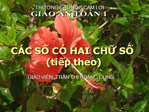 Các số có hai chữ số