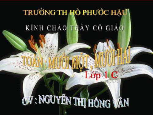 Mười một, mười hai