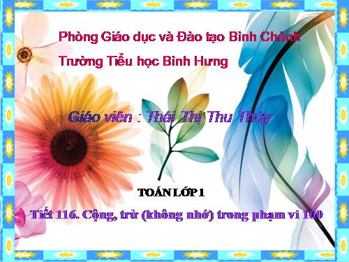 Cộng, trừ (không nhớ) trong phạm vi 100