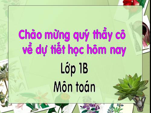 Luyện tập Trang 163