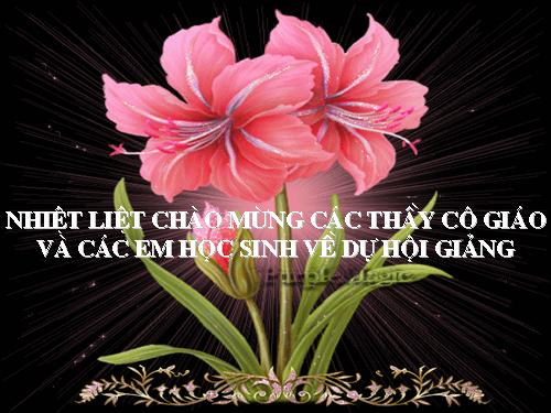 Bảng các số từ 1 đến 100