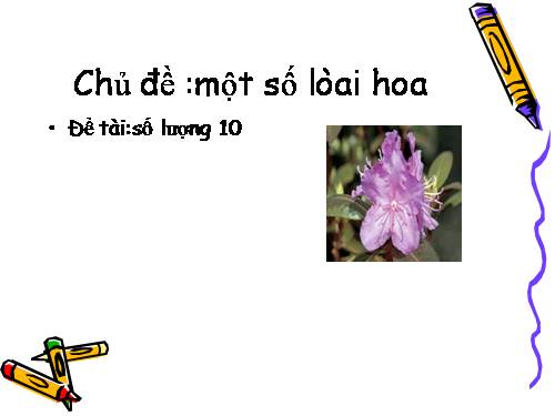 Toán 1: cộng trừ phạm vi 10