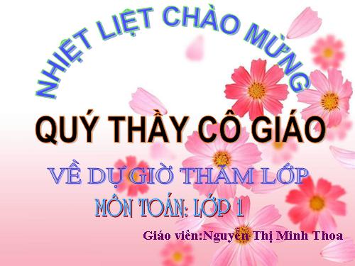 Các ngày trong tuần lễ