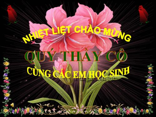 Luyện tập chung Trang 169