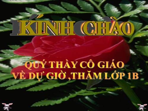 Toán 94-luyện tập