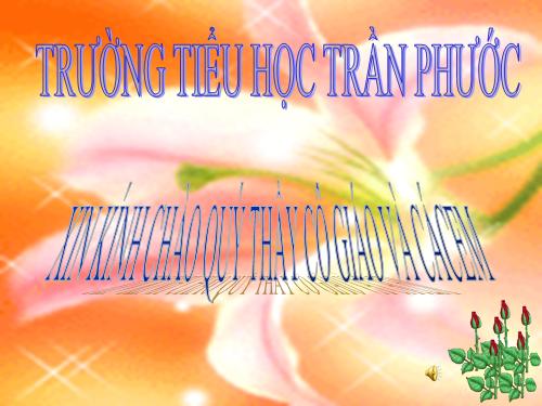 Bảng các số từ 1 đến 100