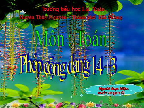 Phép cộng dạng 14+3