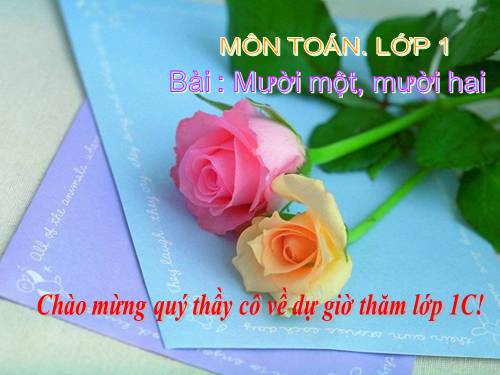 Mười một, mười hai