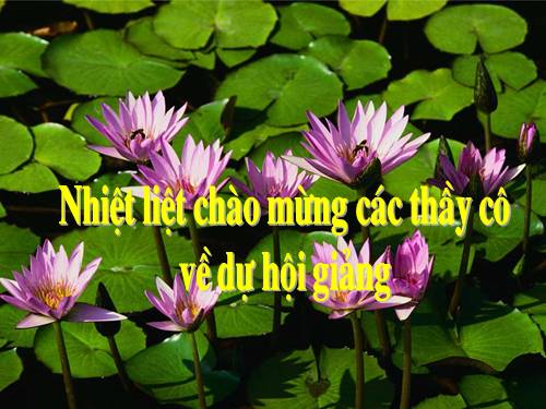 Phép cộng trong phạm vi 6