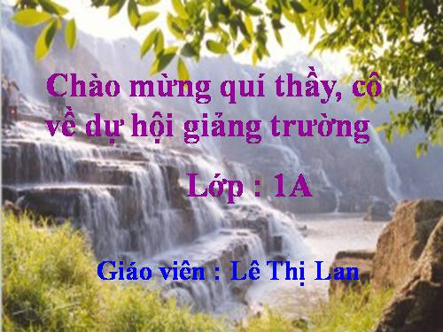 Luyện tập Trang 48