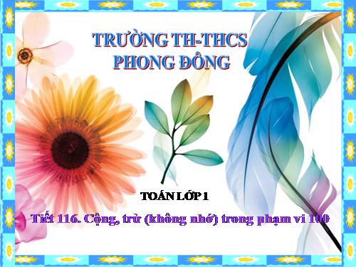 Cộng, trừ (không nhớ) trong phạm vi 100