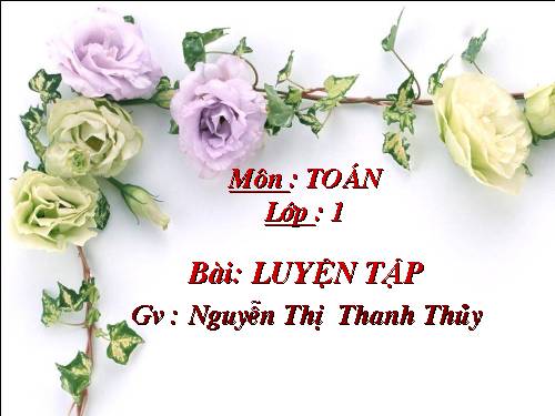 Toan lop 1 - Luyen tap - tuan 29 (tt)