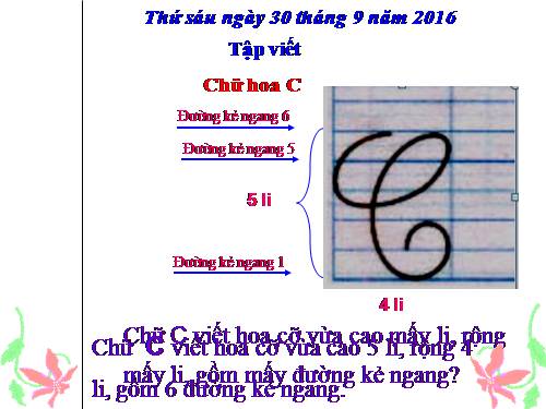 Tuần 4. Chữ hoa: C