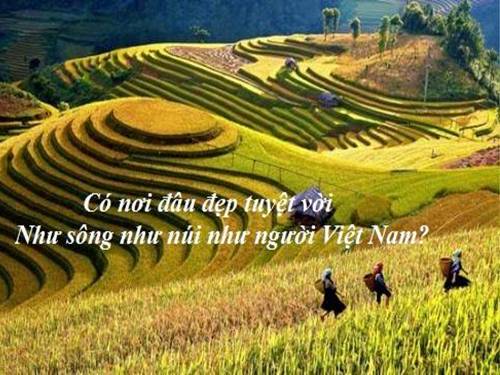 Tuần 34. Ôn tập viết các chữ hoa: A, M, N, Q, V (kiểu 2)